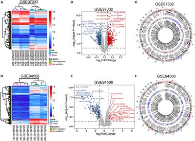 Up-Regulation of hsa_circ_0000517 Predicts Adverse Prognosis of Hepatocellular Carcinoma